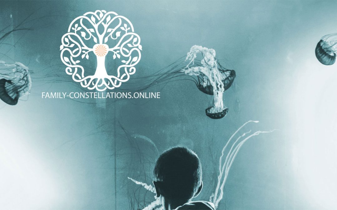 Phenomenological systemic observation: the “lived experience”