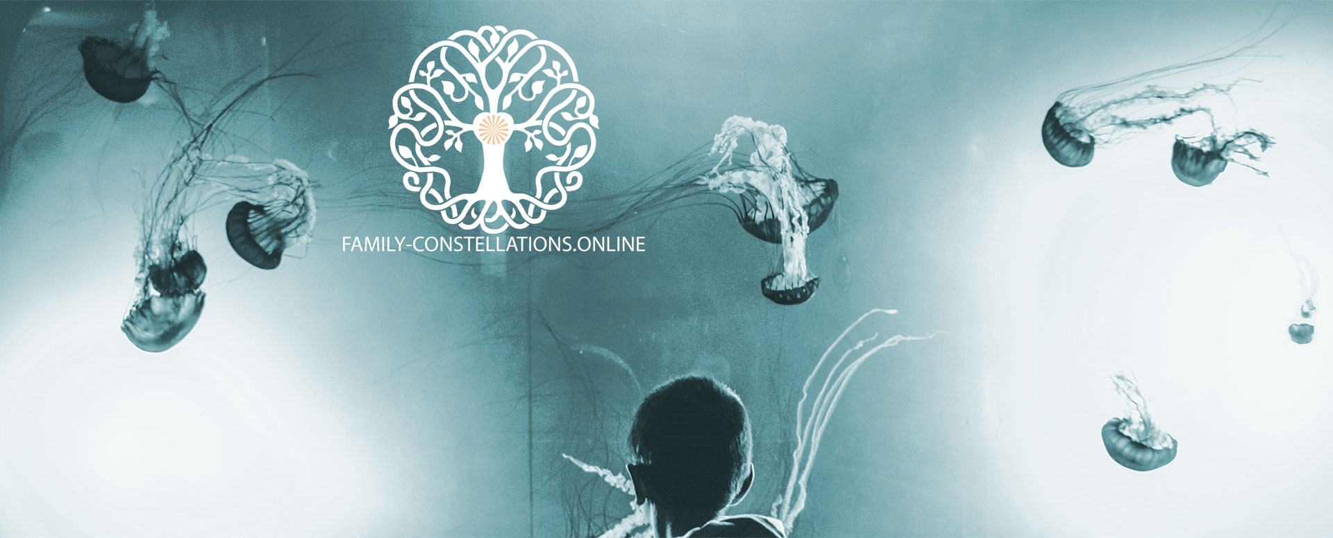 Phenomenological systemic observation