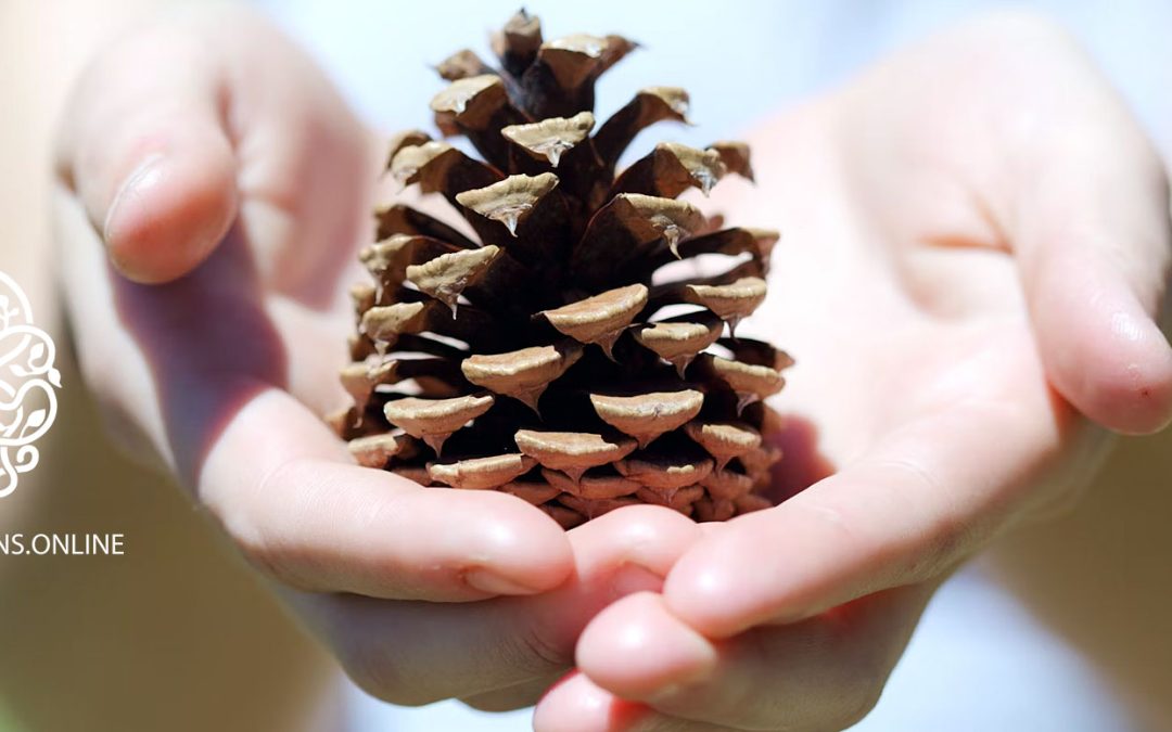 Felt sense – Learn how to feel