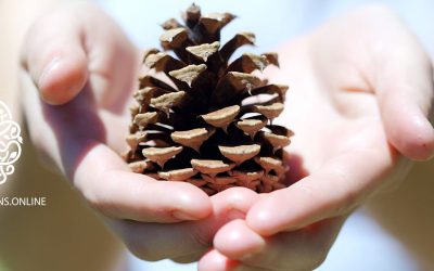 Felt sense – Learn how to feel