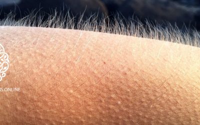 Goosebumps as an indicator of alignment